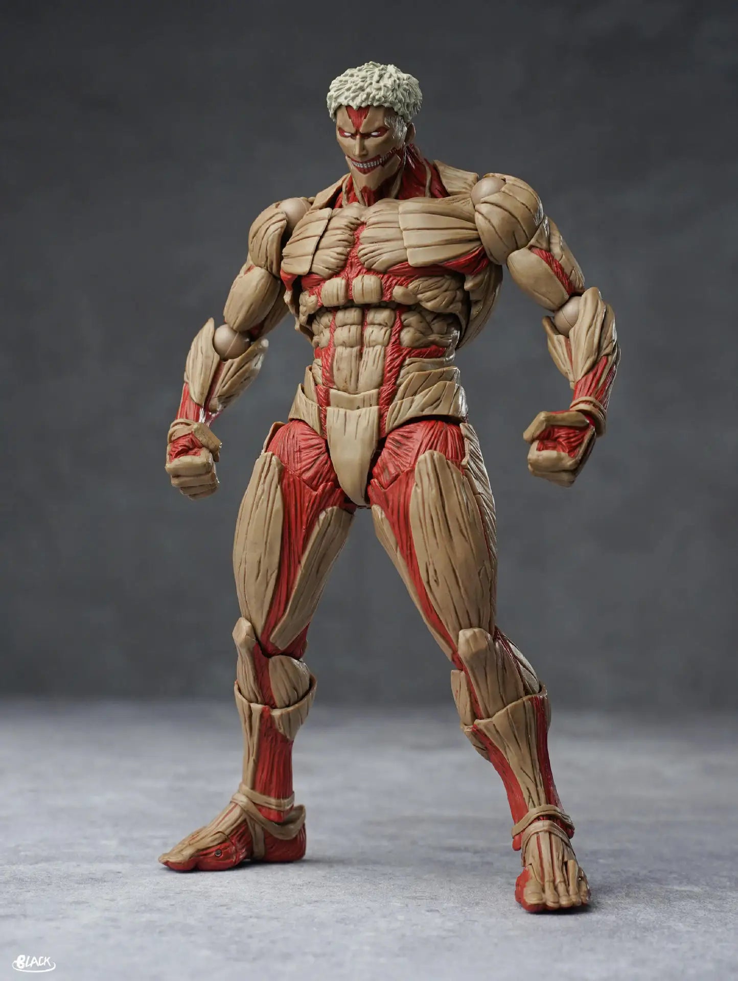 Titán Acorazado Figura Articulada (Reiner Braun)